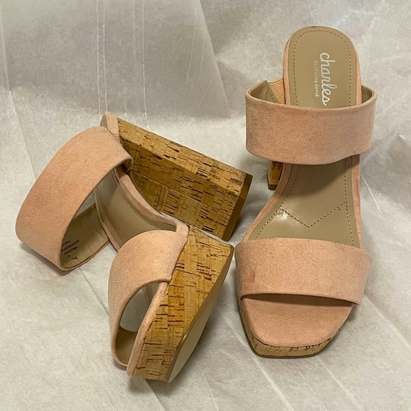 Charles David Shoes - Charles David NWOT Blush Pink Platforms